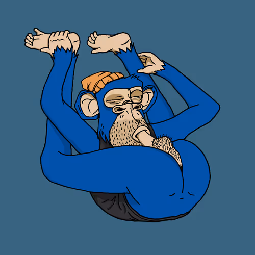 Boredapeyogaclub