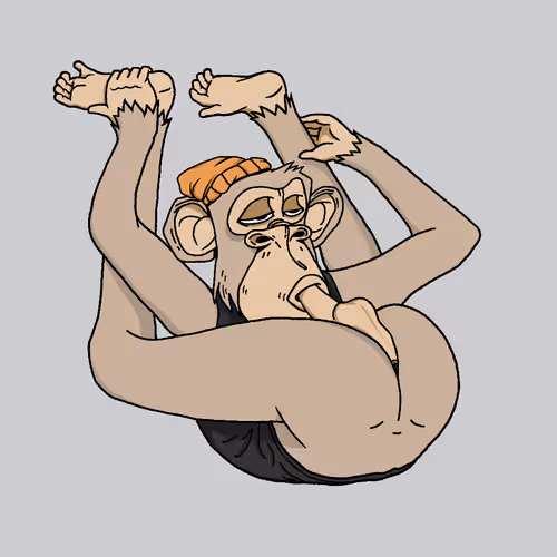 Boredapeyogaclub