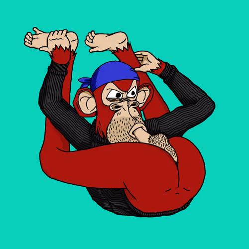 Boredapeyogaclub