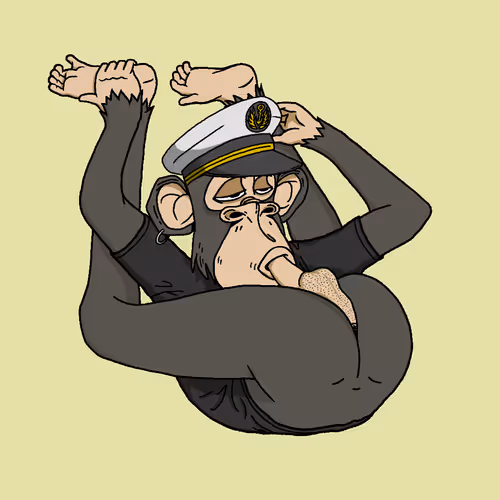 Boredapeyogaclub