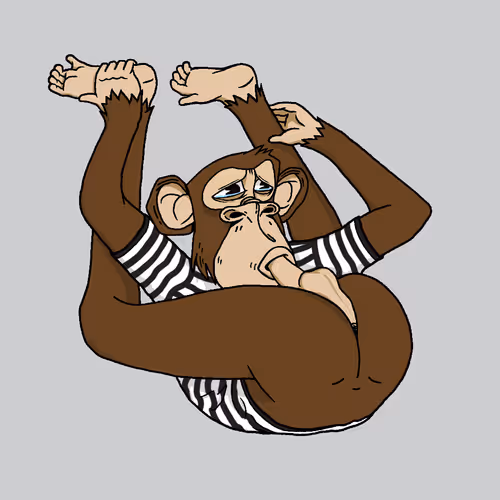 Boredapeyogaclub