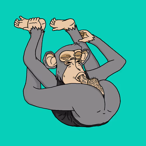 Boredapeyogaclub