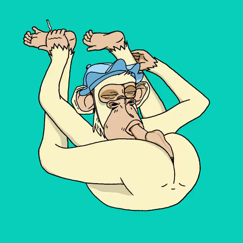 Boredapeyogaclub