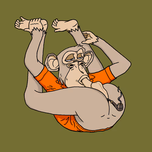 Boredapeyogaclub