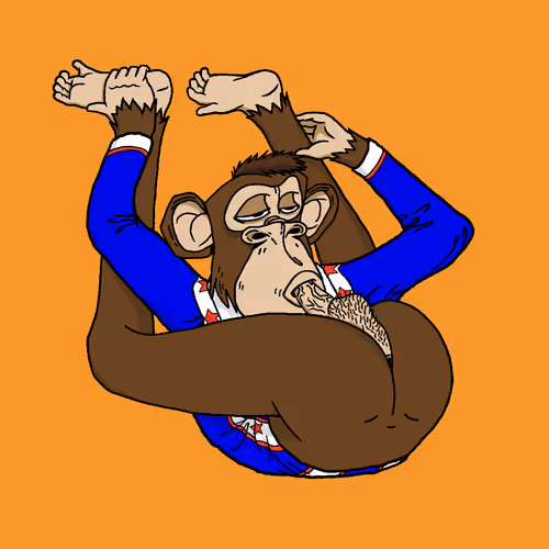 Boredapeyogaclub