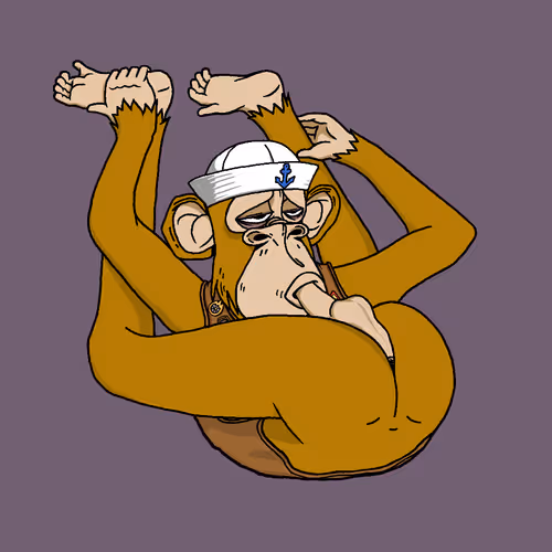 Boredapeyogaclub
