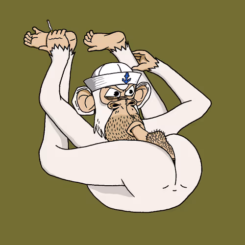 Boredapeyogaclub