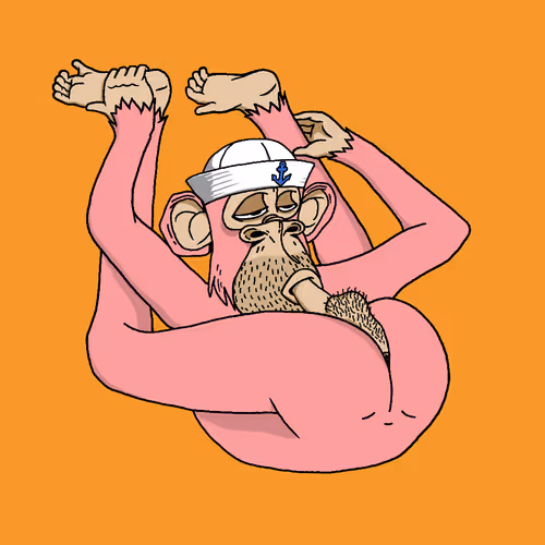 Boredapeyogaclub