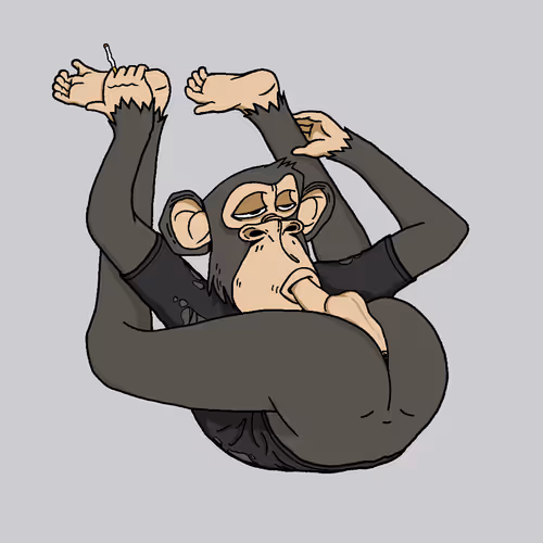 Boredapeyogaclub