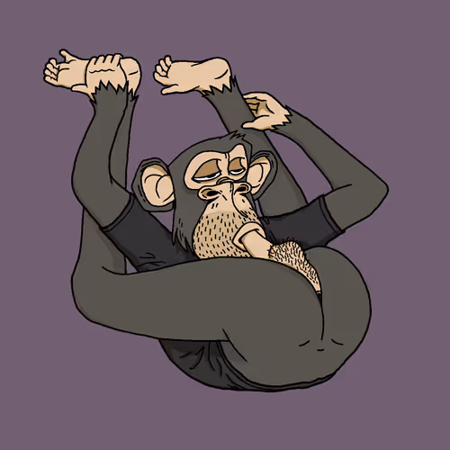 Boredapeyogaclub