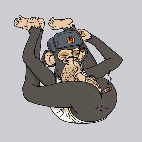 Boredapeyogaclub