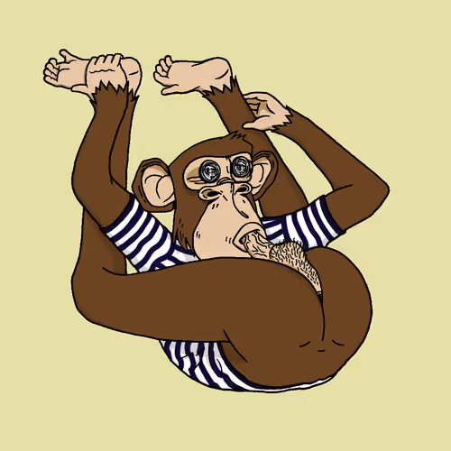 Boredapeyogaclub