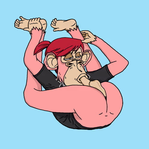 #1557