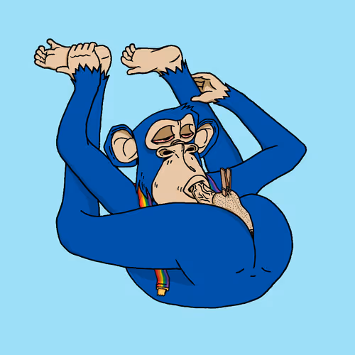 Boredapeyogaclub