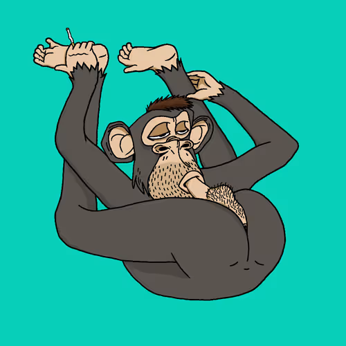 Boredapeyogaclub
