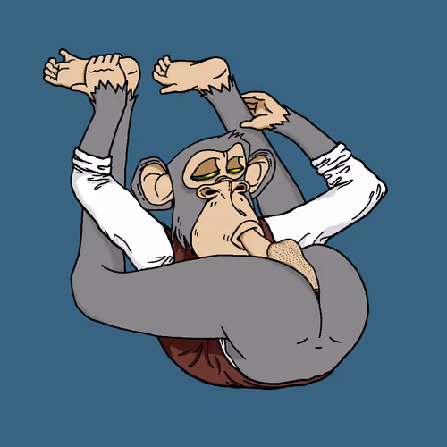Boredapeyogaclub