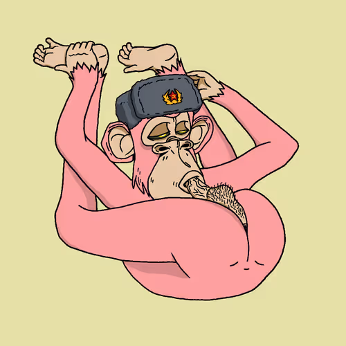 Boredapeyogaclub