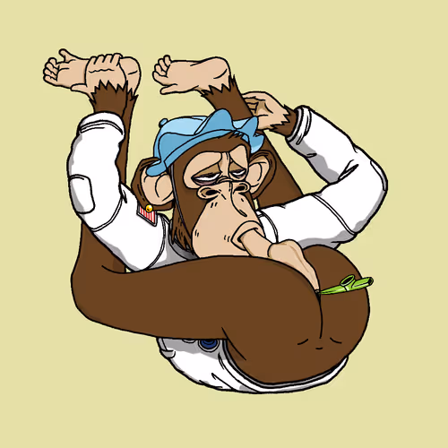 Boredapeyogaclub