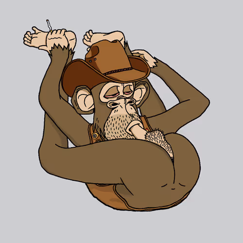 Boredapeyogaclub