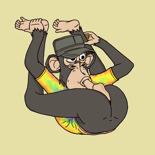 Boredapeyogaclub