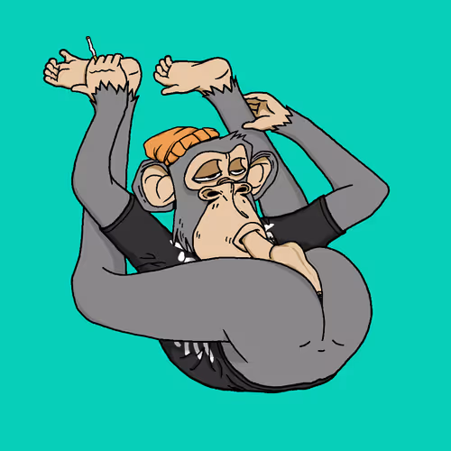 Boredapeyogaclub
