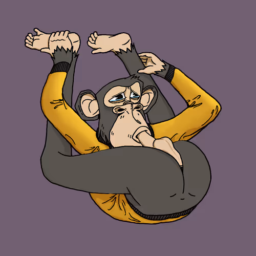 Boredapeyogaclub