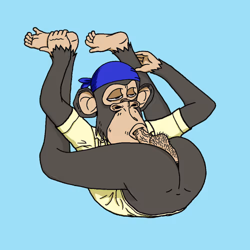 Boredapeyogaclub
