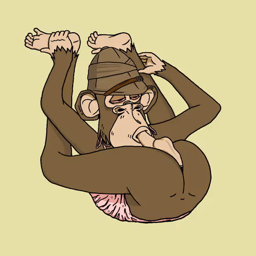 Boredapeyogaclub