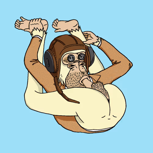 Boredapeyogaclub