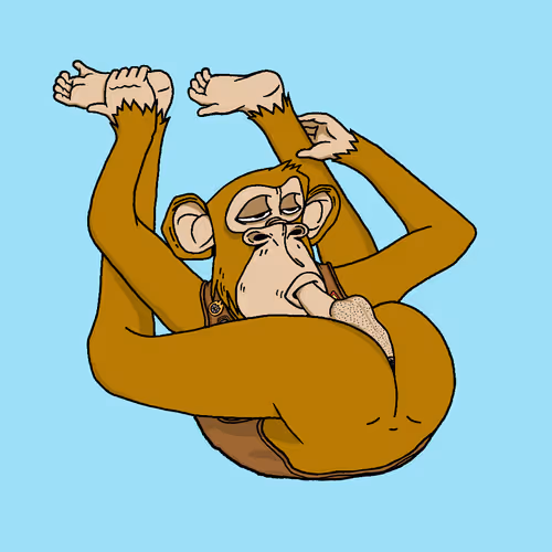 Boredapeyogaclub