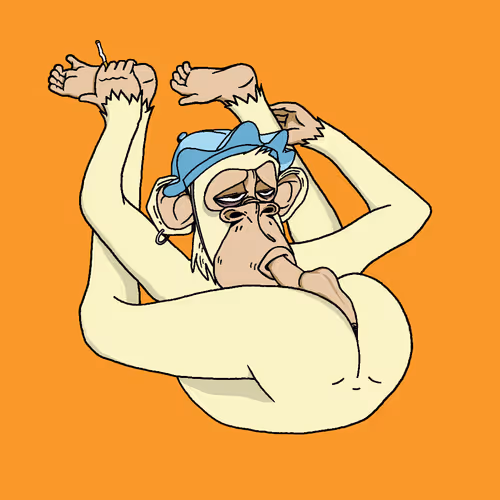 Boredapeyogaclub