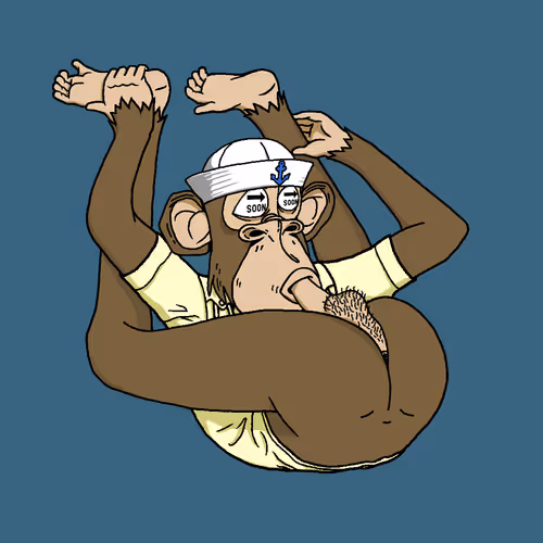 Boredapeyogaclub