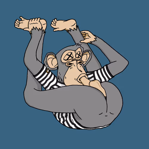 Boredapeyogaclub