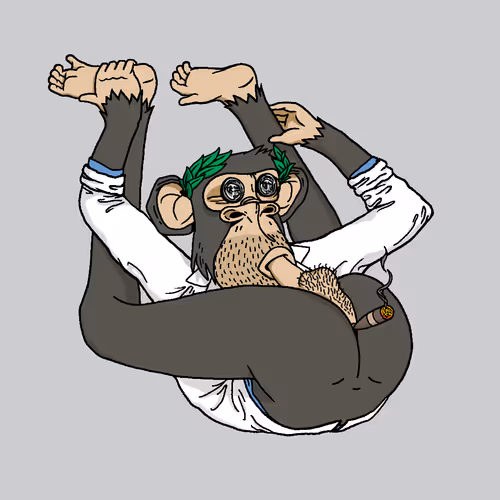 Boredapeyogaclub