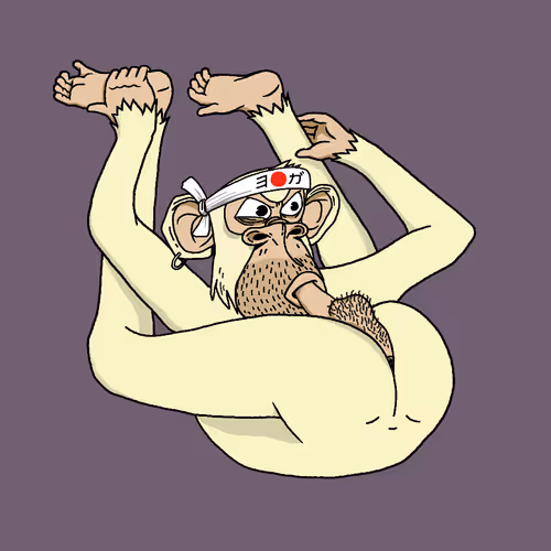 Boredapeyogaclub