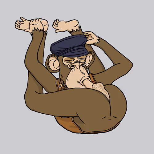 Boredapeyogaclub
