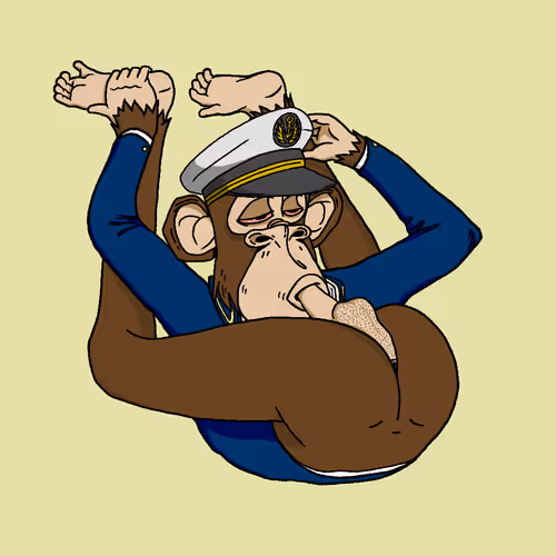 Boredapeyogaclub