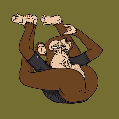 Boredapeyogaclub