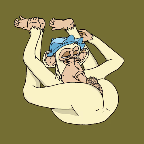 Boredapeyogaclub