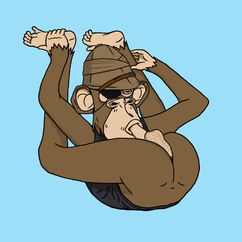 Boredapeyogaclub
