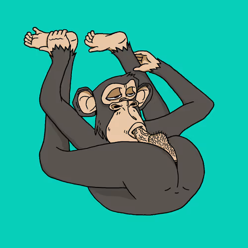 Boredapeyogaclub