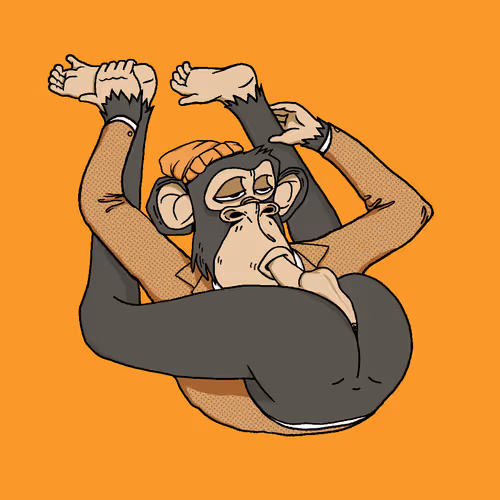Boredapeyogaclub