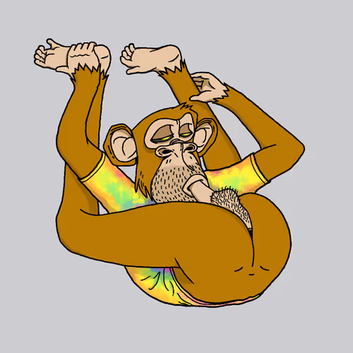Boredapeyogaclub