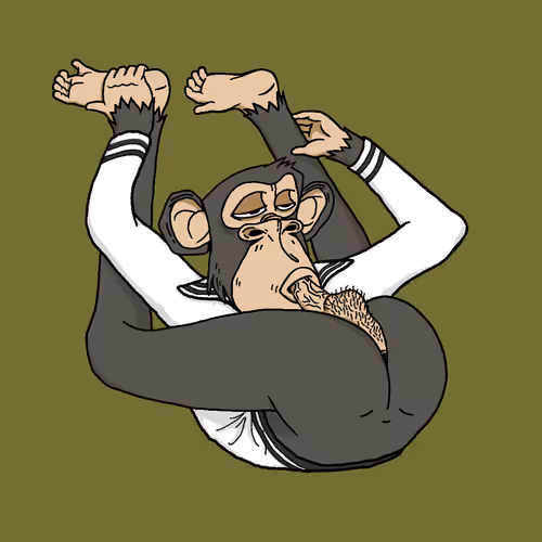 Boredapeyogaclub