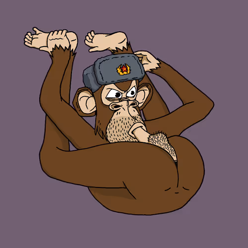 Boredapeyogaclub