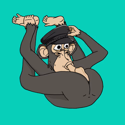 Boredapeyogaclub
