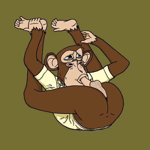 Boredapeyogaclub