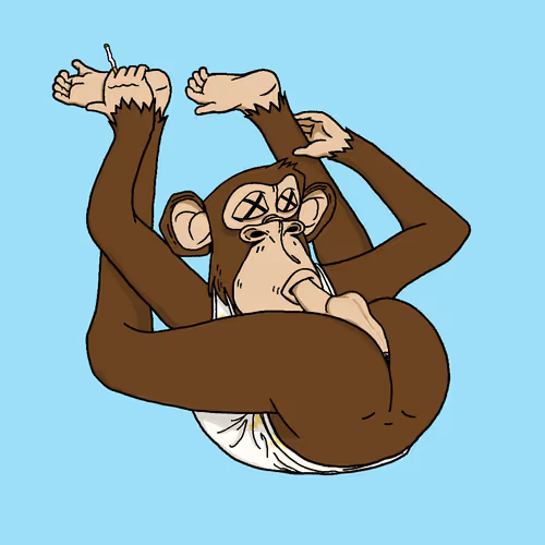 Boredapeyogaclub