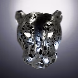 Gentle Panther #498