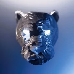 Gentle Panther #250